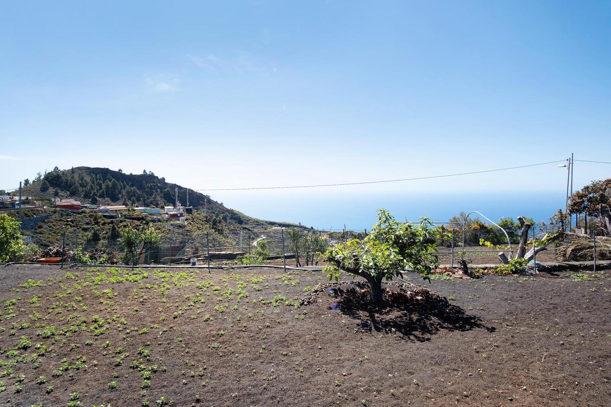 Casa La Podona- A Villa Jedey Bagian luar foto