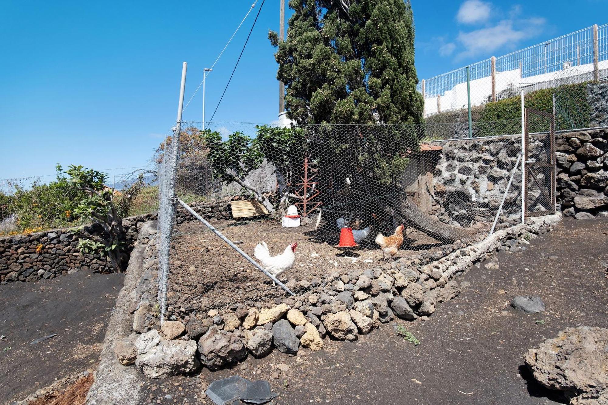Casa La Podona- A Villa Jedey Bagian luar foto