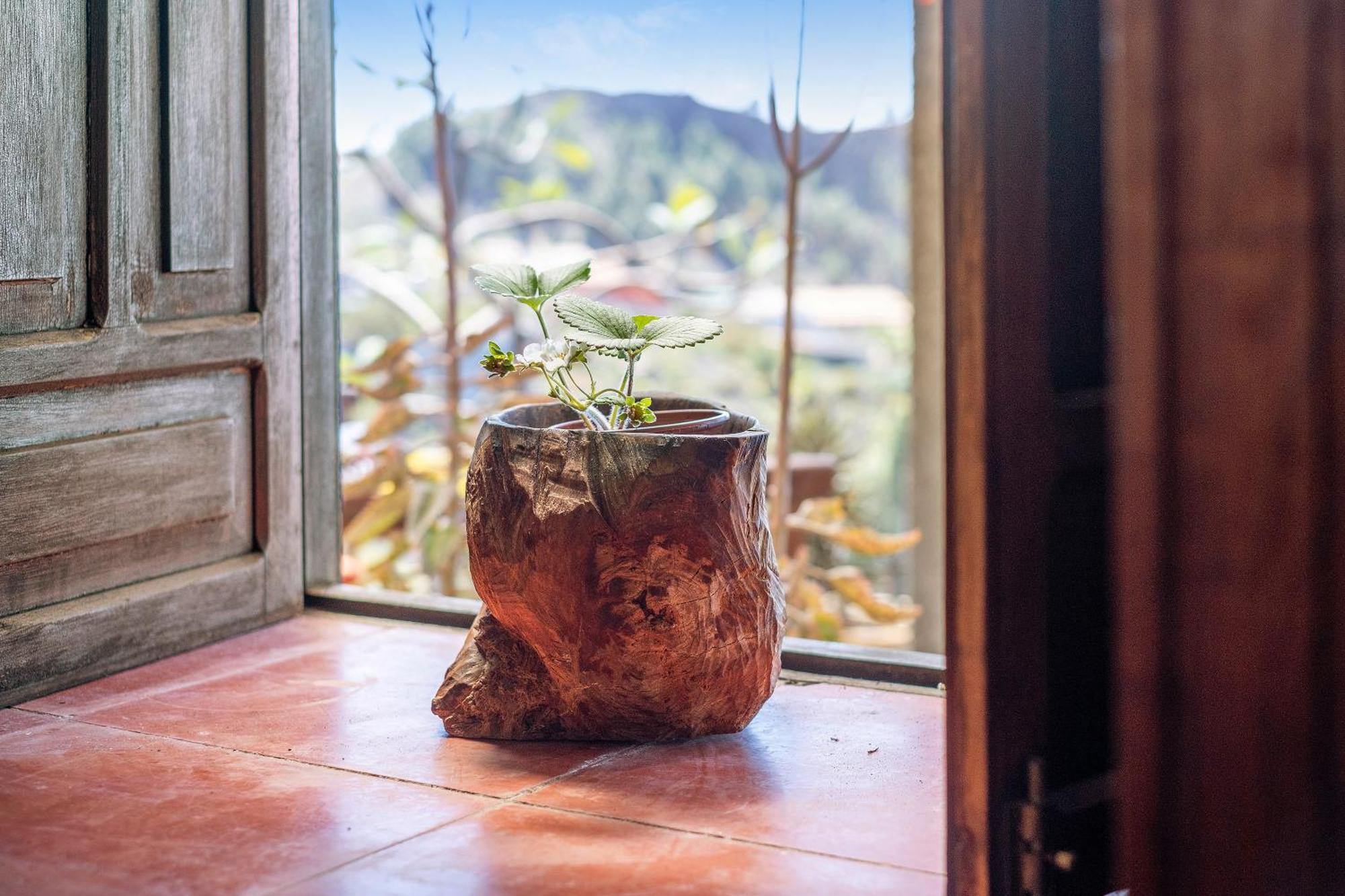Casa La Podona- A Villa Jedey Bagian luar foto