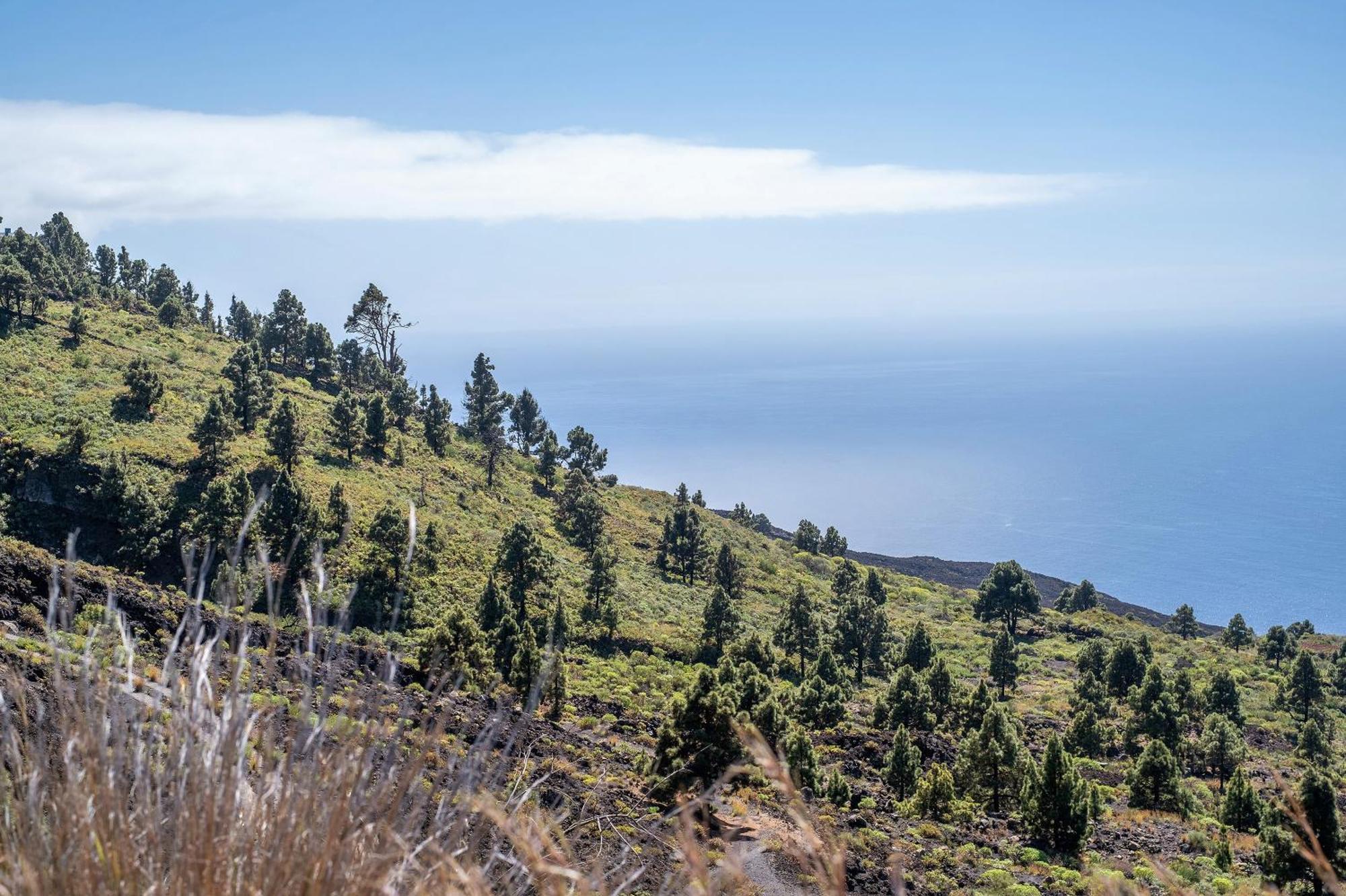 Casa La Podona- A Villa Jedey Bagian luar foto
